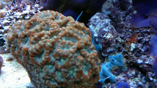 2012-05-23-274.jpg