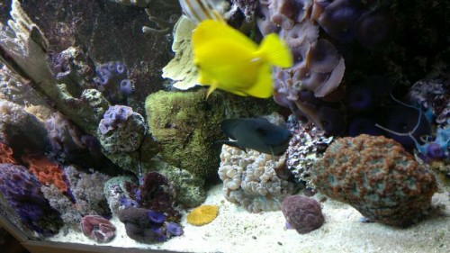 2012-05-24-284.jpg