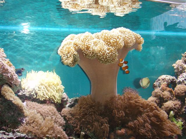 P2113740 (Small).JPG