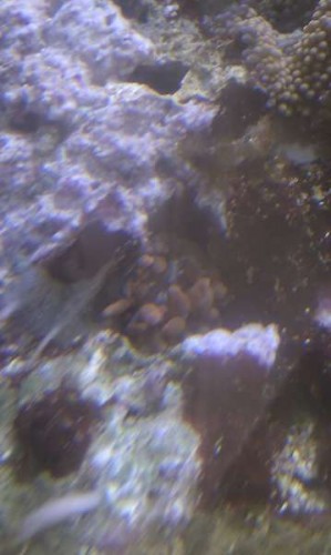 IMAG0697.jpg