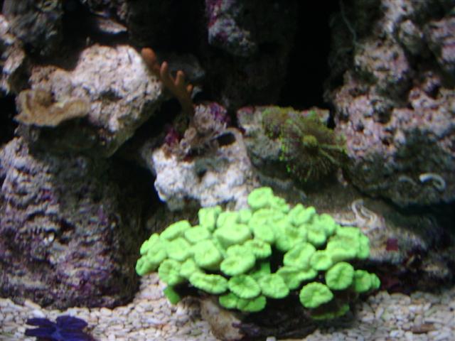 SSA50712 (Small).JPG