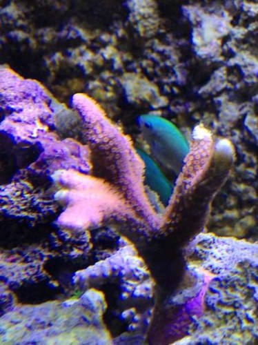 IMG_0610.jpg