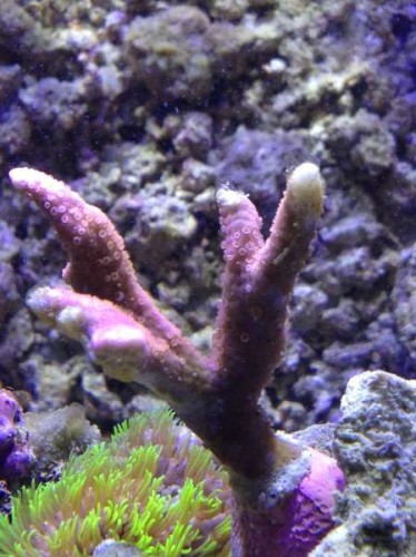 IMG_0605.jpg