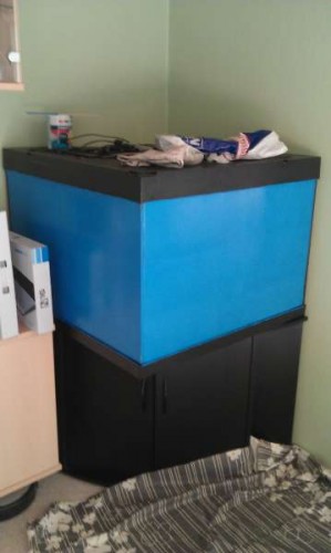 IMAG0326.jpg