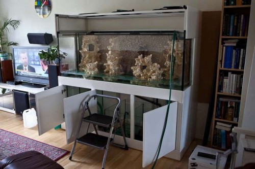 120614 eget akvarium (3 of 17).jpg