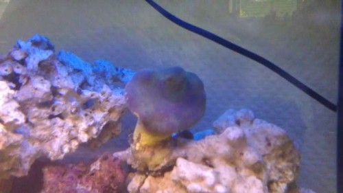 IMAG0102.jpg