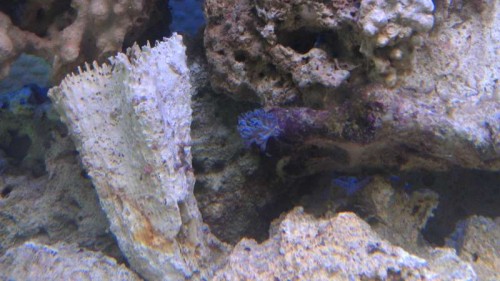 IMAG0103.jpg