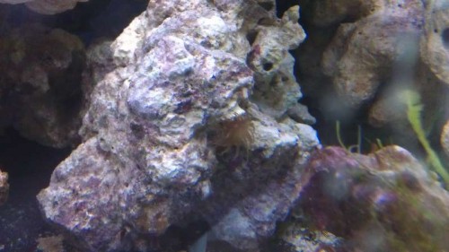 IMAG0104.jpg