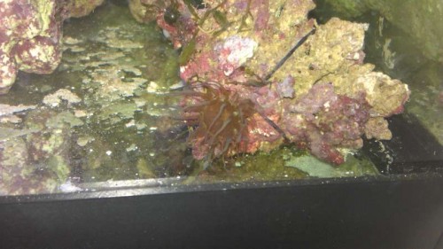 IMAG0107.jpg