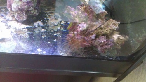 IMAG0108.jpg