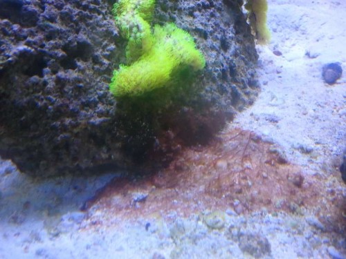 2012-06-22 18.22.39.jpg