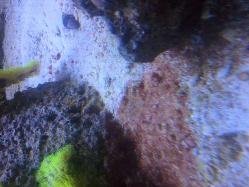 2012-06-22 18.23.52.jpg