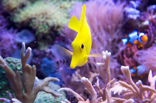 _IGP5538_1.JPG