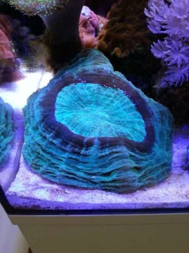 20120623_142821.jpg