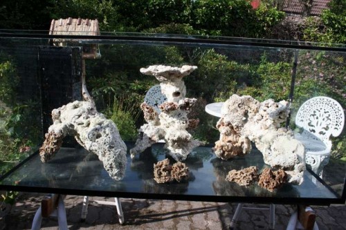Akvarium front.jpg