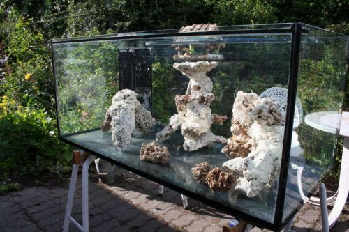 Akvarium side1.jpg