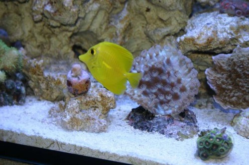 IMG_7596.JPG