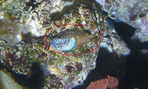 IMAG0478.jpg