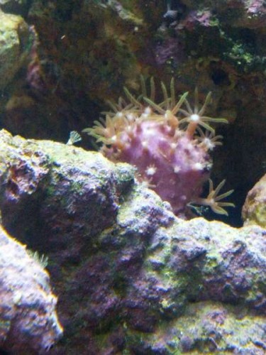 IMG_20120717_172451.jpg