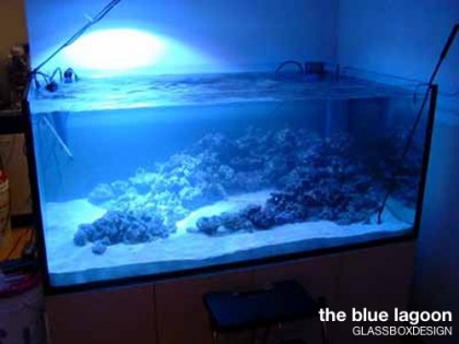 bluelagoon4-420x315.jpg