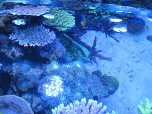 IMG_4064.jpg