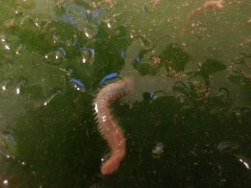 20120730_211725.jpg