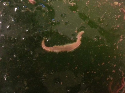 20120730_211620.jpg