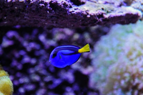 DSC_9196.jpg