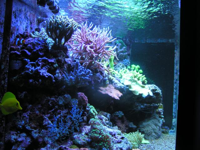 Billede 032 (Small).jpg