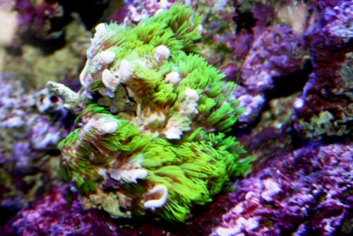 IMG_4256.JPG