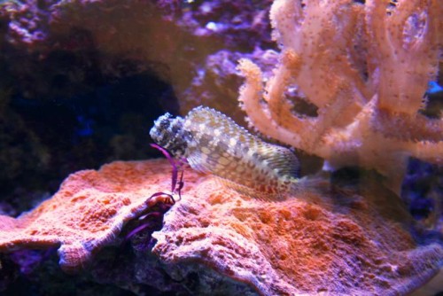 IMG_4296.JPG