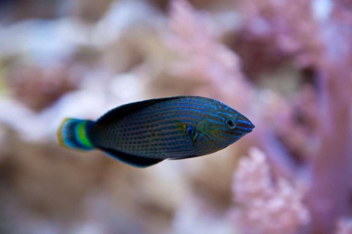 IMG_1772.jpg