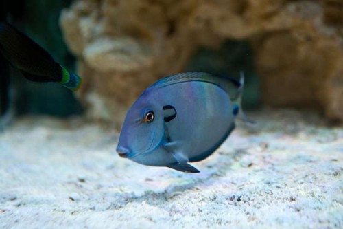 IMG_1745.jpg