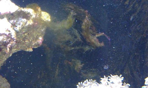 IMAG0453.jpg