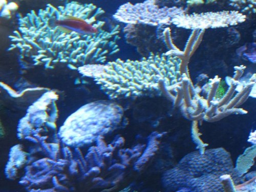 IMG_4258.jpg