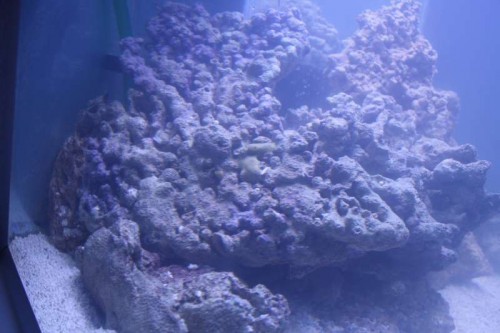 IMG_3466.JPG (42.15 KiB) Vist 397 gange Anden vinkel, andet kamera