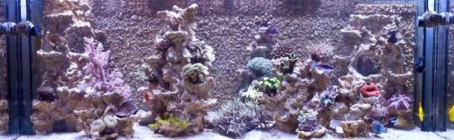 IMG_1840.jpg