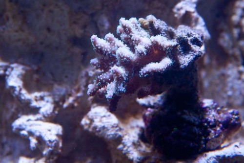 IMG_1828.jpg