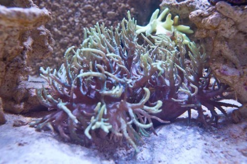 IMG_1825.jpg