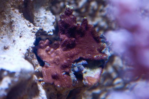 IMG_1821.jpg