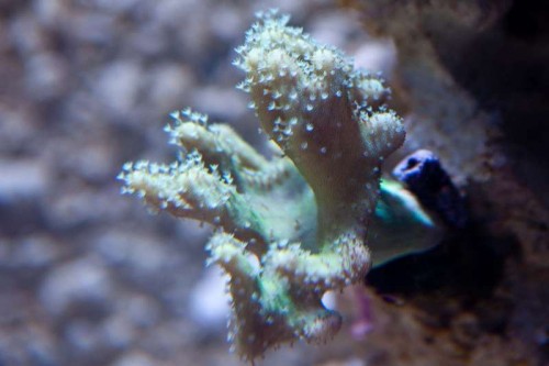 IMG_1820.jpg