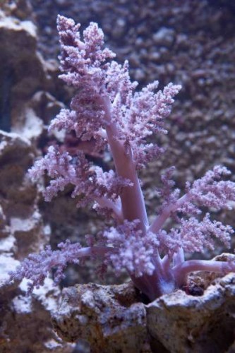 IMG_1816.jpg