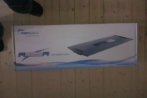 IMAG0010.jpg
