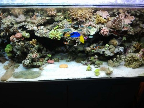 2012-09-01 20.37.14.jpg