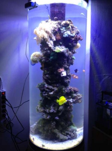 Uge 46 (17).JPG (27.67 KiB) Vist 1484 gange Full tank shot