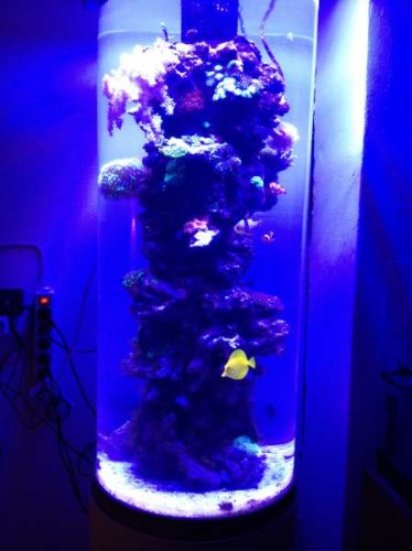 Uge 46 (1).JPG (26.65 KiB) Vist 1484 gange Night shot