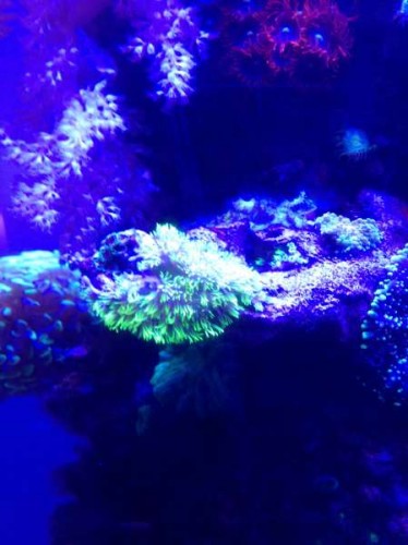 Uge 46 (2).JPG (29.92 KiB) Vist 1484 gange Detaljer