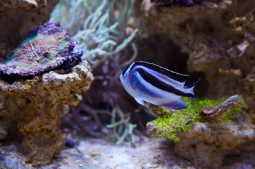 IMG_1985.jpg