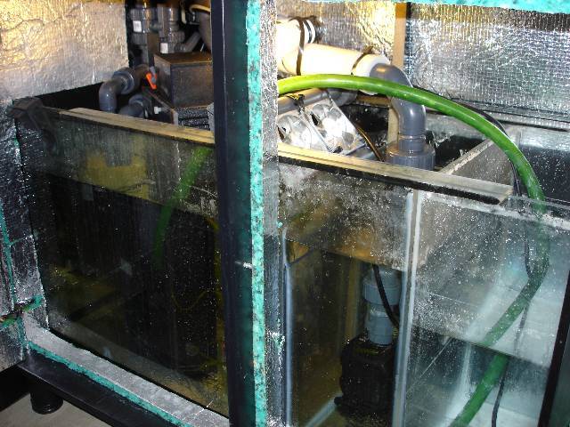Sump 2.jpg