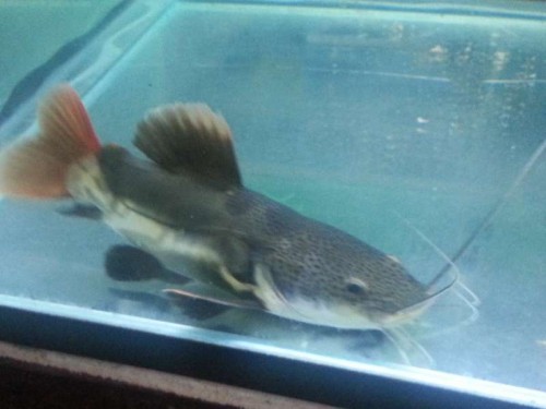 20120906_122042.jpg